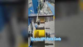 Wir stellen Ihnen 8-adrige 12-adrige MPO-Patchkabel mit PET-Geflecht vor